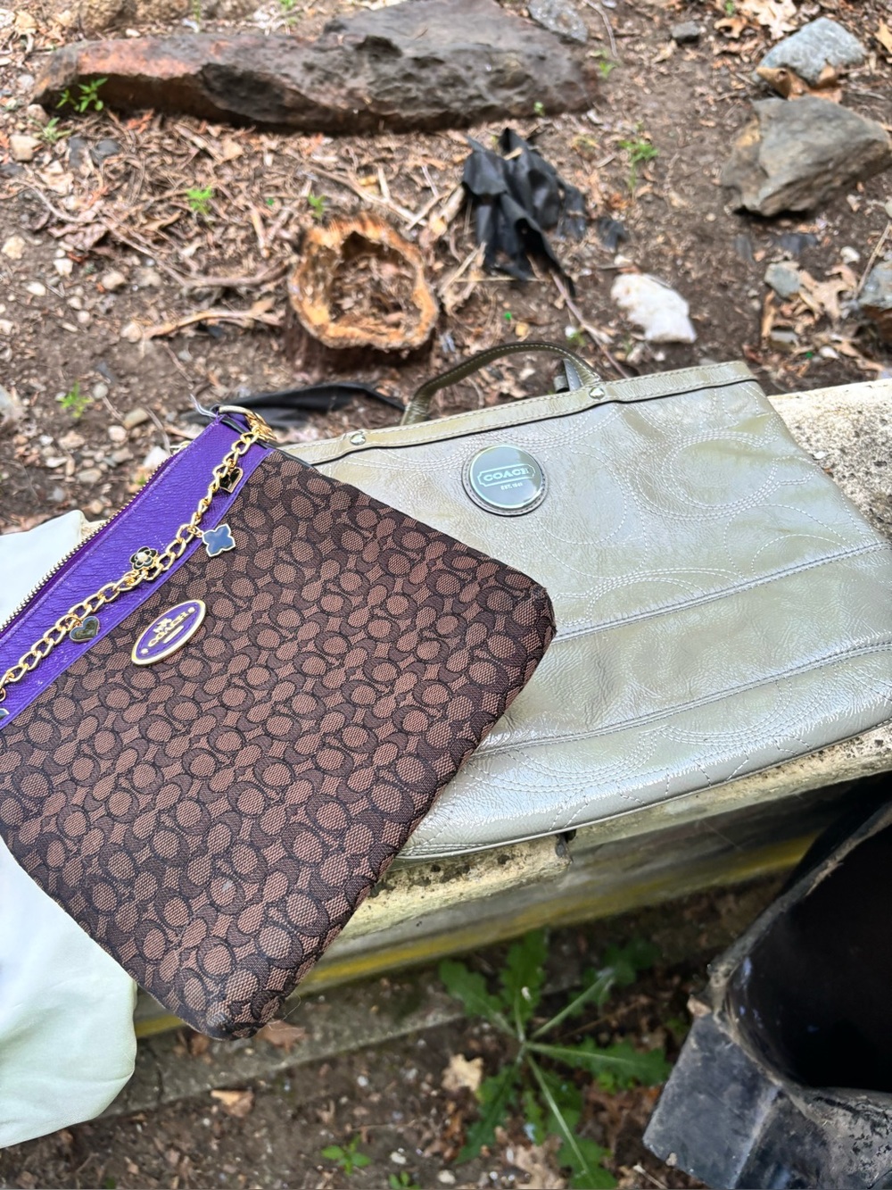 Coach Brown Signature Pouch with Purple Trim and Silver Tote